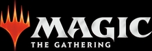 Magic Logo